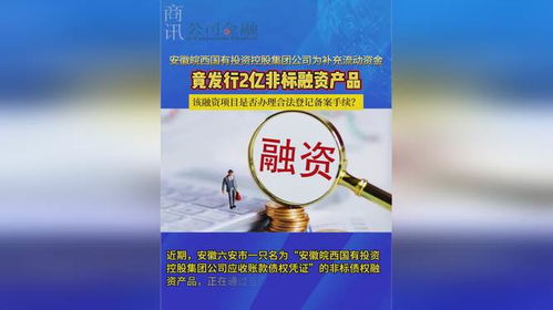 安徽皖西國有投資控股集團公司為補充流動資金竟發行2億非標融資產品